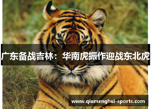 广东备战吉林:华南虎振作迎战东北虎 广东备战吉林:华南虎振作迎战东北虎